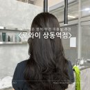 세인미용실 | <로와이 상동역점>세인원장님•애쉬브라운 염색 후기/부천상동 미용실 추천