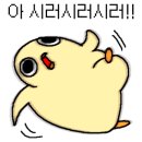 회다이