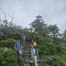6월7일요일 한라산 성판악ㆍ관음사 20km8시 종주산행 이미지