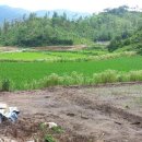 종성농장 이미지