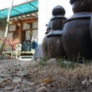 쉼마루 | 1928 쉼마루 아침 조식이 이렇게 맛있다니!