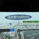 100일 아기와 대관령 하늘목장 여행 후기