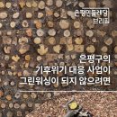 [브리핑] 2025/02/25 은평구의 기후위기 대응 사업이 그린워싱이 되지 않으려면 이미지