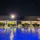 풀사이드Poolside