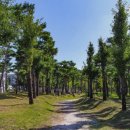 일해공원 3.1운동 기념탑 앞 이미지