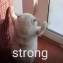 마음모음 이미지