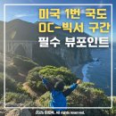 피스모비치 | 꿈의 로드트립, 미국 캘리포니아 1번 국도🚗💨 OC, LA에서 빅서까지 (📍뷰포인트 공유)