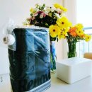 김주일 | 집들이 선물 뭐하지 고민 끝 | KT위즈 팬 선물 추천 | 레노바로 완성한 블랙앤화이트 감성 + 봄 컬러...