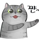 쿡앤밀107 이미지