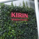 이천역삼거리(시내방면) | 텐진에서 후쿠오카 기린 맥주공장 갔다온 찐 리얼 후기_25.11.20