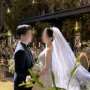 삿에스떼 | 서울 강남구 삼성동 탈모관리 삿에스떼 위치 가격 후기