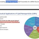 모더나, 화이자 백신에 사용된 지질나노입자(LNPs) 이미지