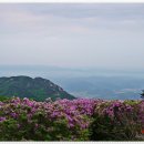 마동동사무소 이미지