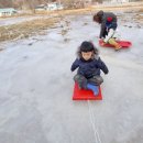 2월 7일 얼음 썰매 /컬링 게임 이미지