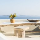 생명의 그물 2 이미지