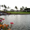 표준식당 이미지