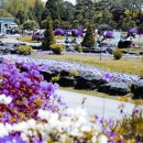 공존의표상 이미지