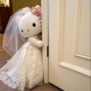 혼네 | [Wedding] 대구 본식스냅 혼네스튜디오 계약 후기