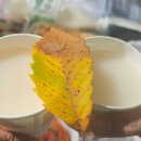 산일상사 이미지