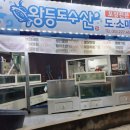 왕등도수산