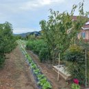 영천남부공인중개사사무소 이미지