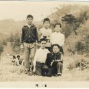 현북초등학교 이미지