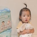 이가소프트 이미지