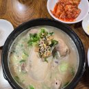 서울 경복궁역 맛집, 서촌 맛집 토속촌 삼계탕 솔직 후기