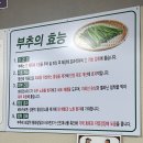 연두약국 | 울산 신정시장 맛집 조선칼국수 매운칼국수 맛집