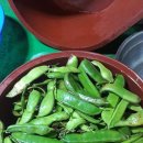 덕음농장 이미지