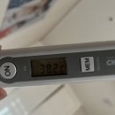 트레저 보러 보령머드축제 가는 일상