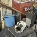 공성면보건지소 이미지