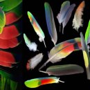 굿닥터동물병원 이미지