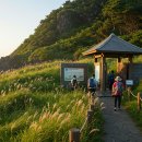 종달바당 | 여름에 걷기 좋은 길 – 제주 올레 21코스 완전 정복 (하도 → 종달 트레킹)