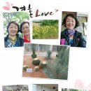 소나무평생교육원 네이버블로그