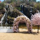 소리폭포(미디어) 이미지