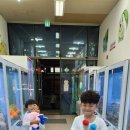 뽀끼뽀꼬 이미지