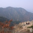 산업로1-12 이미지