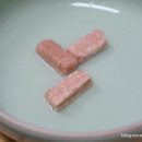 오션 캣 이미지