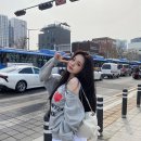 프리지아 이미지