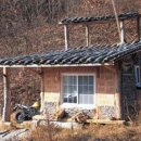 김기덕 감독의 편견없는 삶이 녹아있는 6평 오두막 주택 이미지