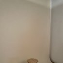 견생공감 | [이태원 셀프사진관] 인생 첫 '견생샷' 성공! 오디티모드 한남점 애견동반 촬영 후기🐾✨