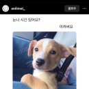 마이뮤지엄