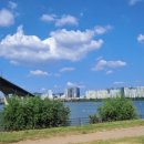 마포 외국어번역 행정사 사무소 이미지