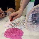 스피드게임랜드 이미지