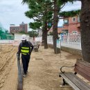 온정초등학교/병설유치원 | 모래소독 전문 업체 키제코 모래소독 39718번째 강원도 온정초등학교&amp;병설유치원