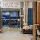 안심해바이오케이방역 | 부산 해운대 펠릭스 호텔 바이 STX&스위트 Felix Hotel by STX 숙박 솔직 후기