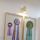 그루밍 하니 이미지