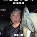 포항 원투 농어낚시 이미지