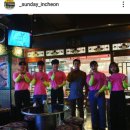 디스코포차 이미지